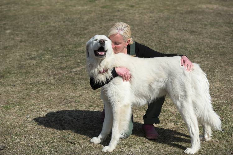 Missy Gilbert, of Tunbridge, hugs one of her two Maremma sheepdogs Enzo, who keeps watch over the sheep, goats and fowl at Little Red Barn Farm Sanctuary in Tunbridge, Vt., on Tuesday, April 2, 2024. (Valley News - James M. Patterson) Copyright Valley News. May not be reprinted or used online without permission. Send requests to permission@vnews.com.