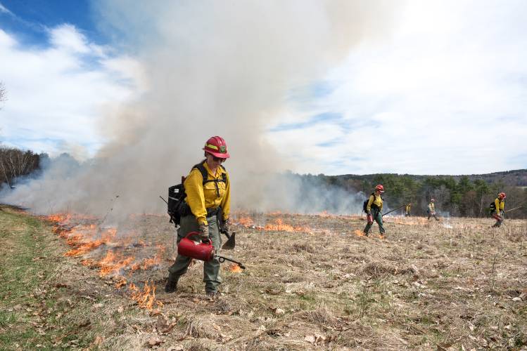 Madison Poe, left, leads a line of her National Forest Service colleagues, including, from left, Deanna Eastman, Helon Hoffer, Roland Manbeck, and James Vittetau, as they set fire to a 30 acre parcel of the Hudson Farm, a section of Appalachian Trail corridor land that is part of the White Mountain National Forest in Etna, N.H. on Wednesday, April 17, 2024. The burn is the first of the season in New Hampshire and was planned to preserve habitat for bobolinks, songbirds that nest on bare ground in fields of at least 10 acres. Controled burning is also used to reduce excess fuel in fields and forests to prevent wildfires. (Valley News - James M. Patterson) Copyright Valley News. May not be reprinted or used online without permission. Send requests to permission@vnews.com.