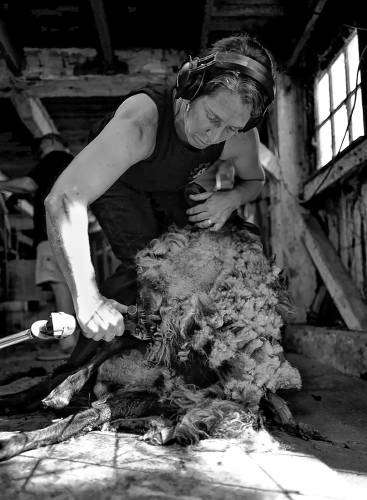 Can Do Shearing's Mary Lake, of Tunbridge, Vt., is part of JuanCarlos Gonzalez's photo book “Vermont Female Farmers,” which is also on display at the Billings Farm & Museum until October 31, 2023. (JuanCarlos Gonzalez photograph)