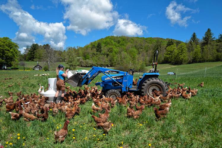 Emily Fox tends to her chickens at High Low Farm in Woodstock, Vt. The photograph is part of JuanCarlos Gonzalez's book “Vermont Female Farmers,” which is also on display at the Billings Farm & Museum until October 31, 2023. (JuanCarlos Gonzalez photograph)