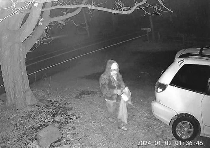 An image from the Sandy Bottom Farm’s security camera shows the suspect. (Courtesy Grand Isle Sheriff’s Department)