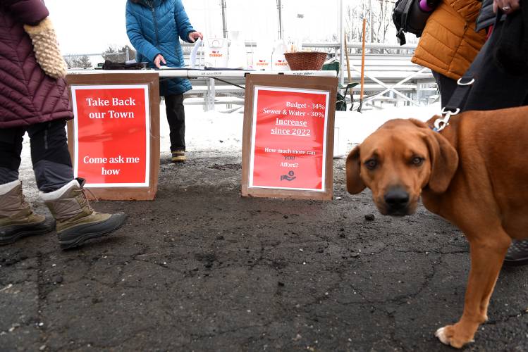 Marley the dog sniffs around a table set up by the Concerned Citizens of Enfield at the polls on Primary Day in Enfield, N.H., on Tuesday, Jan. 23, 2024. Marley's owner Lindsay Smith is the Town Moderator. She was taking a quick break at the polls to give her dog a walk. Members of the group are trying to add articles to the town’s warrant to be discussed at Town Meeting. (Valley News - Jennifer Hauck) Copyright Valley News. May not be reprinted or used online without permission. Send requests to permission@vnews.com.