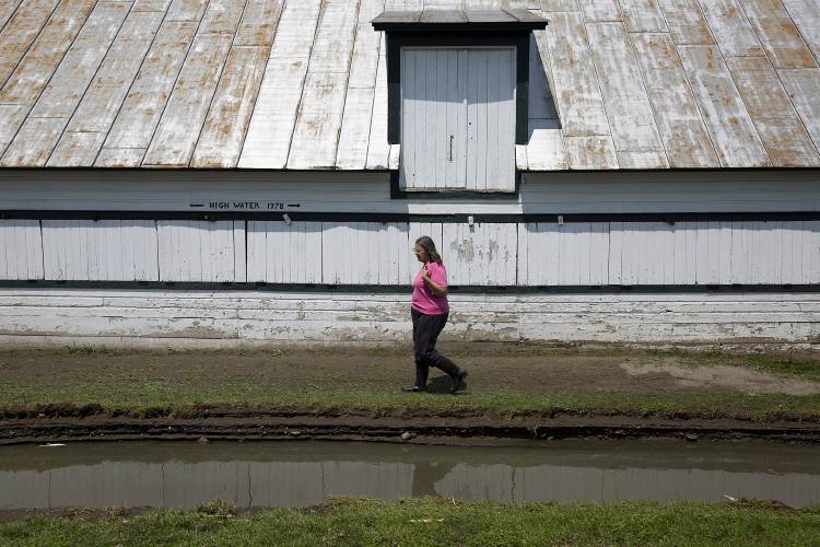 Peggy Sherlock, Tunbridge Worlds Fair secretary, looks at remaining floodwater outside of an ox barn at the fairgrounds in Tunbridge, Vt., on Thursday, July 13, 2023. Sherlock walked around the property taking photos of damage to be used in a FEMA report. (Valley News / Report For America - Alex Driehaus) Copyright Valley News. May not be reprinted or used online without permission. Send requests to permission@vnews.com.