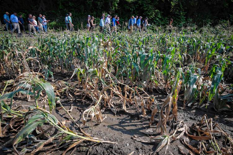 Produce farmer Paul Mazza gives a tour of his flood-damaged fields to state and federal officials in Essex, Vt., on Monday, July 24, 2023. (VtDigger - Glenn Russell)