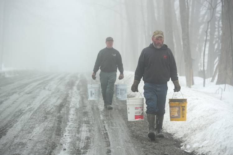 Jeff Tracy, right, and his dad Rob, left, both of Barnard, collect sap from maple trees along the side of Royalton Turnpike in Barnard, Vt., to boil at their nearby sugarhouse on Wednesday, March 27, 2024. The road conditions have improved since earlier in the month when a neighbor, Arlana Ruch, said she had to hike through the woods to reach her home, and in December when the muffler of her Ford F150 was torn off in the mud while driving to her nearby home. (Valley News - James M. Patterson) Copyright Valley News. May not be reprinted or used online without permission. Send requests to permission@vnews.com.