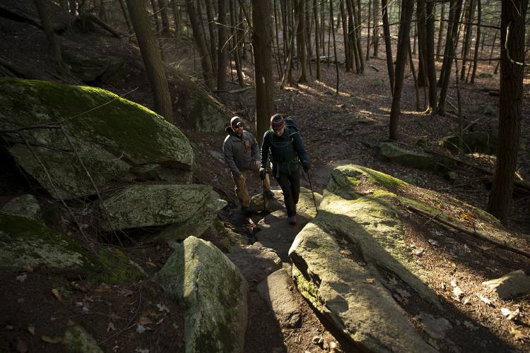 David Beane Jr., left, and Kate Harrison, both of Lyme, N.H., hike along the Appalachian Trail in Hanover, N.H., on Monday, Nov. 20, 2023. Harrison, who donated a kidney to Beane in 2021 after seeing a listserv post from his mother seeking a donor for her son, is training to participate in a hike up three volcanoes in Guatemala with 17 other kidney donors this December. “It’s a big undertaking to give up a piece of you,” Beane said of Harrison’s donation. “You always hope it’s going to go to someone who’s going to take care of it.” (Valley News / Report For America - Alex Driehaus) Copyright Valley News. May not be reprinted or used online without permission. Send requests to permission@vnews.com.