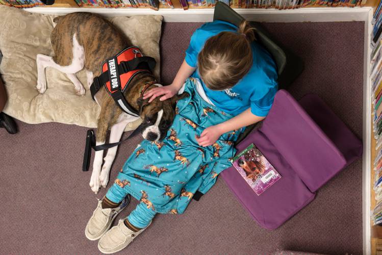 Nala the boxer wakes up from a nap after Anastasia Underhill, of Claremont, 10, right, finishes a chapter of the Magic Ponies book she chose for a 15-minute reading session with the therapy dog at Fiske Free Library in Claremont, N.H., on Thursday, Jan. 25, 2024. (Valley News - James M. Patterson) Copyright Valley News. May not be reprinted or used online without permission. Send requests to permission@vnews.com.