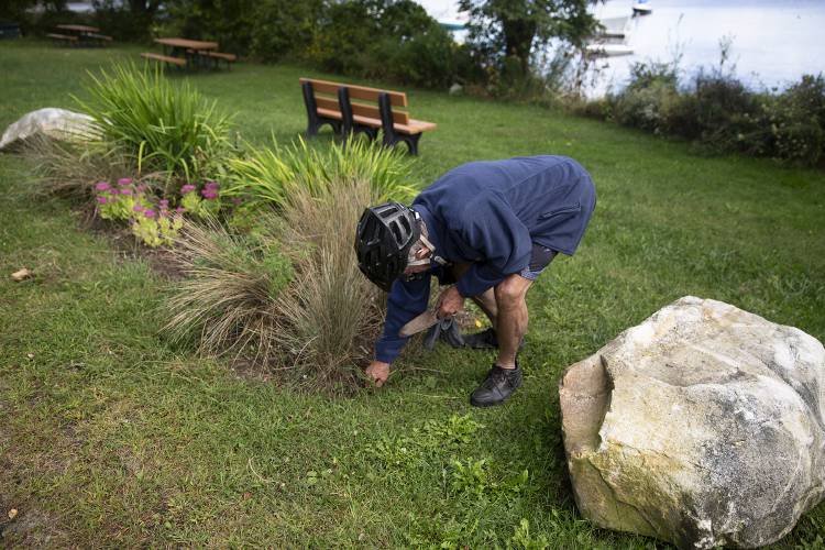 Ken Warren, of Lebanon, N.H., stops to pull weeds during his daily bike ride at Mascoma Lakeside Park in Enfield, N.H., on Thursday, Sept. 14, 2023. Warren, a retired biologist who worked on lakes throughout the state, remembers working to remediate algal blooms at Mascoma Lake and now volunteers to help keep the lakeshore looking its best. (Valley News / Report For America - Alex Driehaus) Copyright Valley News. May not be reprinted or used online without permission. Send requests to permission@vnews.com.