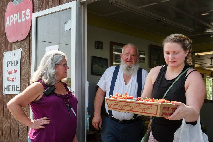 Wellwood Orchard co-owners Linda Friedman, left, and Roy Mark, middle, watch as Molly Smith, of Charlestown, right, leaves their store with a flat of strawberries in Springfield, Vt., on Wednesday, July 5, 2023. On day 21 of picking, the berries are becoming soft because of the rainy weather, said co-owner Friedman, and the orchard has lowered its prices on pick-your-own strawberries hoping to encourage customers to glean as many as possible. She's hoping for another week of picking to help replace income from their lost apple crop. 