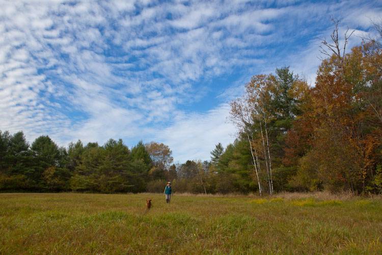 The Mink Brook Community Forest in Hanover, N.H., received a $200,000 Land and Community Heritage Program grant to enrich the Town of Hanover's conservation efforts. (Courtesy photograph)