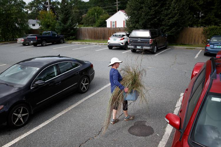 Clare Forseth, of White River Junction, Vt., carries an ornamental grass to her car after digging it up from a garden she maintains because it had grown too tall and was blocking the sign at the Wilder Park and Ride in White River Junction, Vt., on Friday, Sept. 3, 2021. Forseth, who has been retired for 20 years, keeps herself busy by caring for gardens around town, both through the Hartford Garden Friends and on her own. She knows that when she starts caring for a new plot she has to commit to maintaining it. 