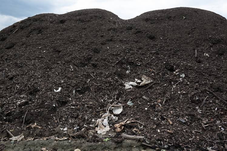 The oldest pile of compost at the Lebanon (N.H.) Landfill is nine to 10 months old and spotted with plastic, compostable bags and other non-biodegradable waste on Thursday, June 16, 2023.   The pile will be screened to remove that trash before it is used. (Valley News - James M. Patterson) Copyright Valley News. May not be reprinted or used online without permission. Send requests to permission@vnews.com.