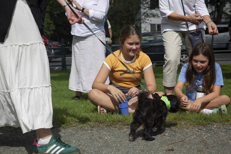 Emmy, 13, left, and Hannah Whitney, 10, both of Quechee, Vt., greet dogs as they march by during Puppies and Pooches On Parade on the green in Woodstock, Vt., on Saturday, August 26, 2023. Chris Whitney said she brought her granddaughters to the event because they love dogs, especially Hannah who has said she wants to be a dog trainer. (Valley News / Report For America - Alex Driehaus) Copyright Valley News. May not be reprinted or used online without permission. Send requests to permission@vnews.com.