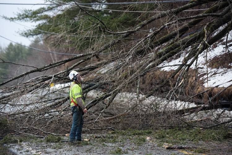 Asplundh tree worker Rob, who only gave his first name, considers a tangle of branches and wires brought down by high winds on Trescott Road in Etna, N.H., on Saturday, Jan. 13, 2024. Trees on wires blocked a stretch of nearby Greensboro Road in Hanover through the day. National Weather Service reports showed wind speeds reaching 62 miles per hour in Piermont and between 30 and 50 miles per hour over most of Grafton County. (Valley News - James M. Patterson) Copyright Valley News. May not be reprinted or used online without permission. Send requests to permission@vnews.com.