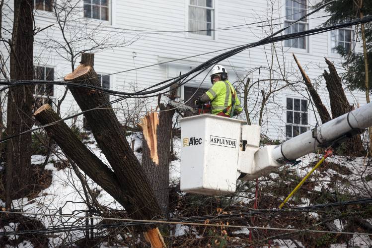 A tree falls away from utility lines after being cut by Asplundh tree worker Rob, who only gave his first name, on Trescott Road in Etna, N.H., on Saturday, Jan. 13, 2024. Damaging winds swept over the Upper Valley on Saturday keeping emergency and utility crews busy removing downed trees and restoring power. (Valley News - James M. Patterson) Copyright Valley News. May not be reprinted or used online without permission. Send requests to permission@vnews.com.