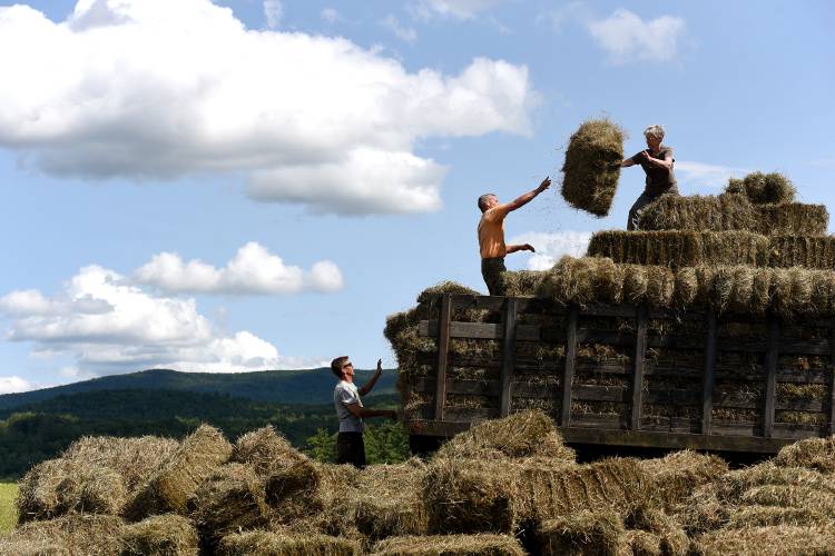 Lēon Guedeo, left, throws hay onto a truck where Josh Horan and his mother Jody Horan stack hay on Wednesday, Aug. 2, 2023, in Norwich, Vt. The Horans' Northeast Corner Farm  makes mostly round bales for their beef cattle. The square bales are for Josh Horan's horses. Judy Horan said this hay was usually done the second week of July. (Valley News - Jennifer Hauck) Copyright Valley News. May not be reprinted or used online without permission. Send requests to permission@vnews.com.