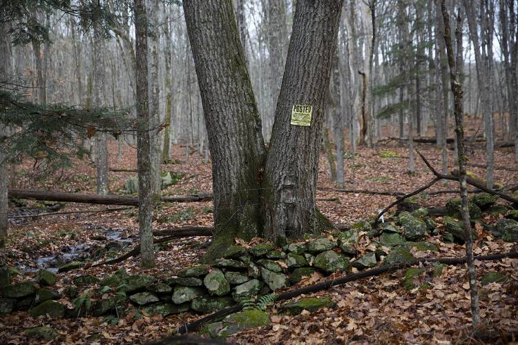 A posted sign marks the boundary of John Lamppa’s property in Norwich, Vt., on Saturday, Nov. 18, 2023. Lamppa is a hunter and welcomes the practice on his land, but posts his property because he wants to meet the hunters that use it. (Valley News / Report For America - Alex Driehaus) Copyright Valley News. May not be reprinted or used online without permission. Send requests to permission@vnews.com.