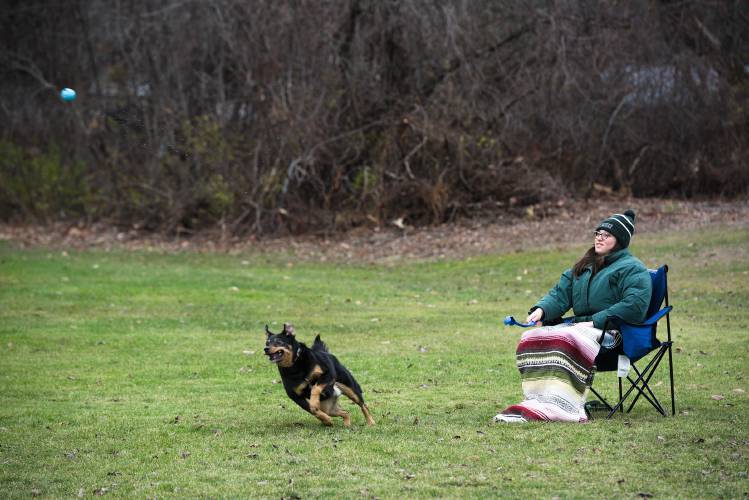 Julianna Donohoe plays with her dog Theo at Basin Field in Lebanon, N.H., near her home on Tuesday, Nov. 21, 2023. “If I stay at home, he’ll just sit there and stare at me until I bring him here,” she said. (Valley News - James M. Patterson) Copyright Valley News. May not be reprinted or used online without permission. Send requests to permission@vnews.com.