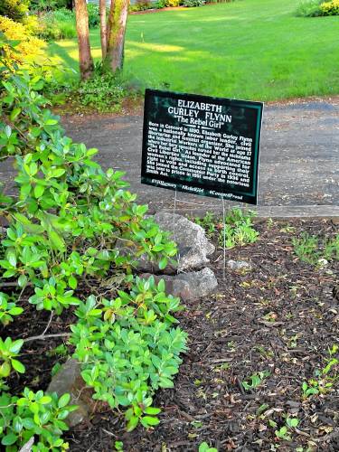 Replicas of a historical marker for Elizabeth Gurley Flynn, a communist-affiliated labor activist, are popping up in yards around Concord after the original was removed by the state in May.