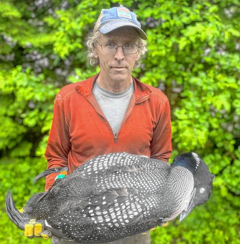 Eric Hanson with the deceased Newark Pond Male. (Eloise Girard photograph)